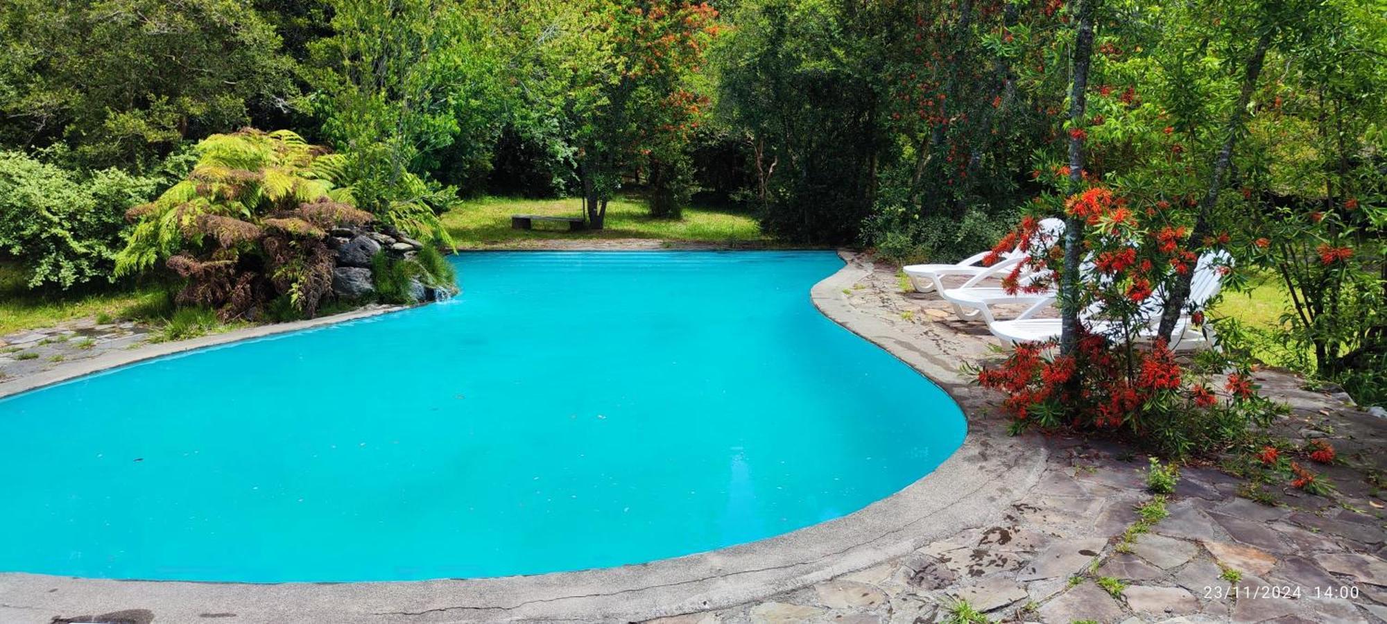Bambu Lodge Pucón Buitenkant foto