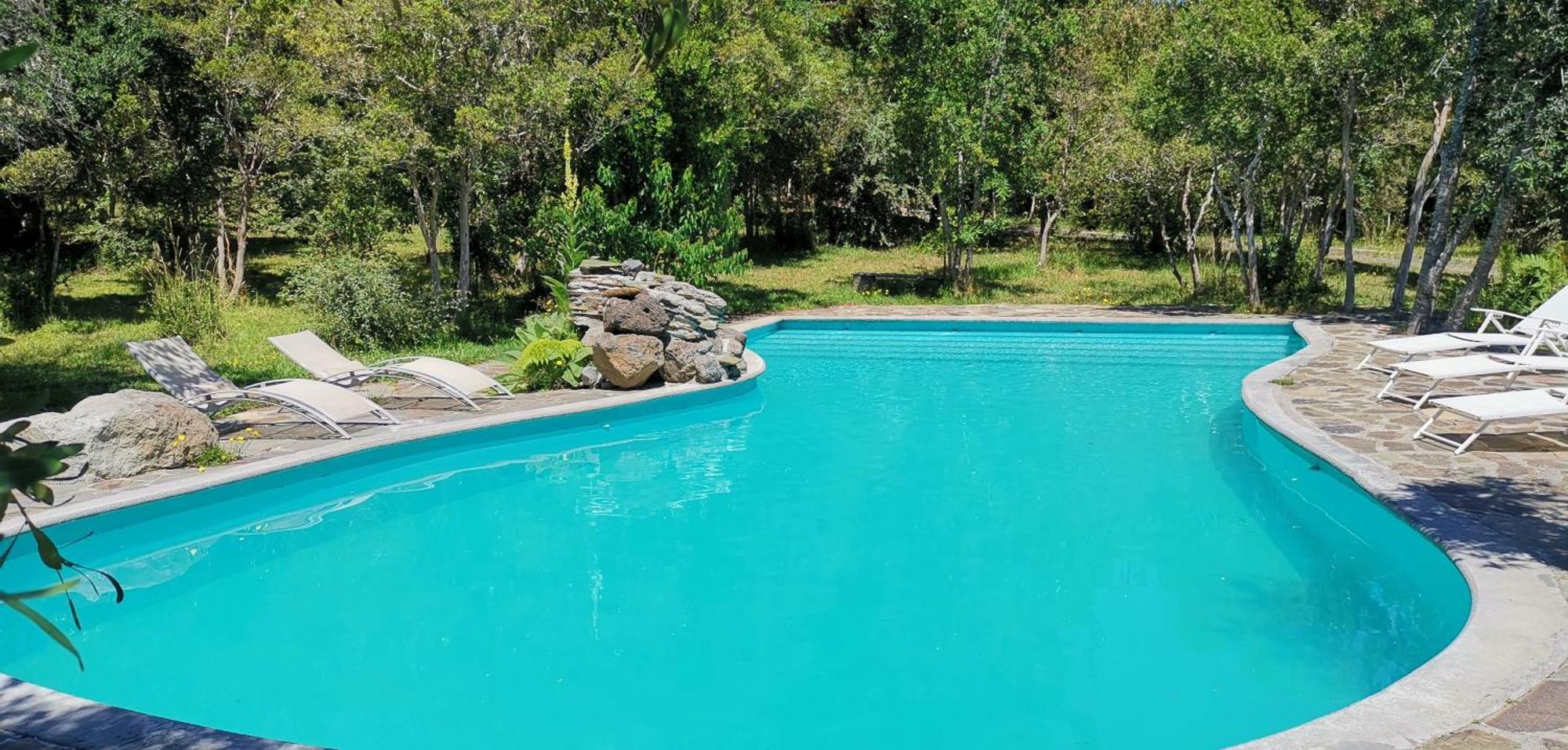 Bambu Lodge Pucón Buitenkant foto